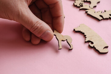 Adult Male collects a Wooden Puzzle on a pink background. Puzzle