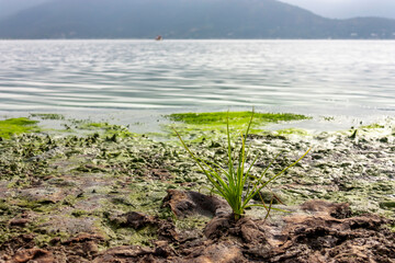 Aculeo Lagoon, Chile