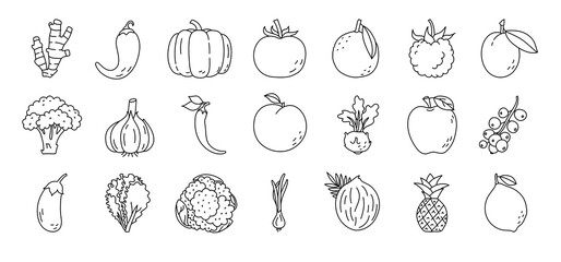 Fruit and vegetable sketch. Ginger, pepper, raspberry and prunes. Broccoli, garlic, kohlrabi and eggplant. Lettuce, cauliflower, scallions and pineapple. Black line icon. Vector illustration set