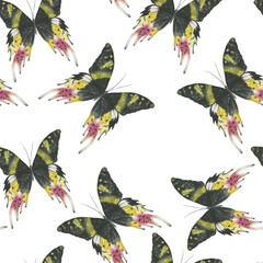 Watercolor painting seamless pattern with beautiful butterfly