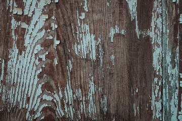 texture of old wood plank with tattered blue paint