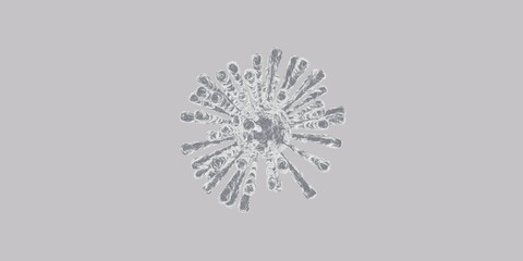 Corona Virus cell. 3D illustration. Coronavirus background.
