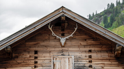 Dachgiebel einer Holzhütte mit Hirschgeweih in den Alpen - obrazy, fototapety, plakaty