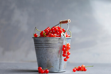 
Fresh red currants in a small iron bucket on a gray concrete background. Macro photography. Berries