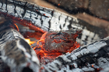 Glowing embers in hot red color, abstract background. The hot embers of burning wood log fire. Firewood burning on grill. Texture fire bonfire embers.