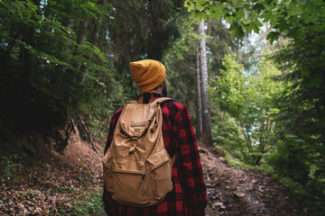 Back view of a young male tourist walking in the middle of the evergreen forest with big travel...