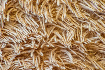  fabric background with a long pile of beige color