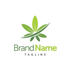 Cannabis Marijuana Leaf Logo Design Vector Image