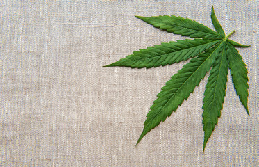 Cannabis leaves on the hemp textile background