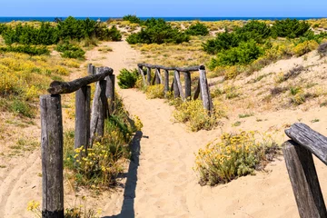 Fotobehang selvaggio 01 - dune e mare sulla costa toscana del mar Tirreno © Daniele