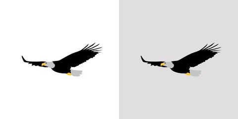 Elegant and beautiful eagle illustration vector