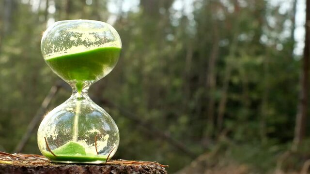 Earth Day. Ecology concept. Environmental protection and nature conservation.Protecting the forest from deforestation. The lifespan of the tree. Saving the environment and protecting forests. Hourglas