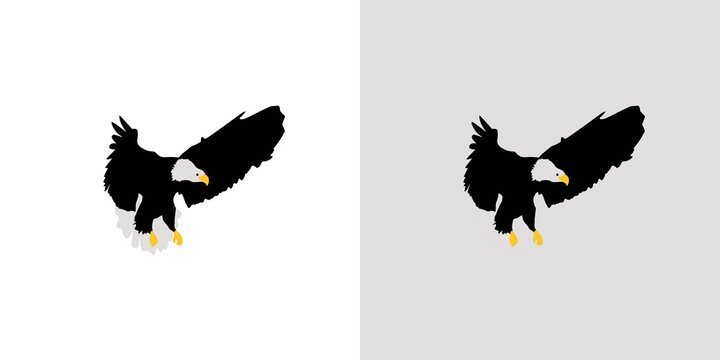 Elegant and fantasticl eagle illustration vector
