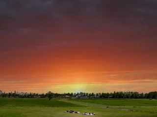 Fototapete De Scherenwelle is a nature reserve near the village of Wilsum, municipality of Kampen, Overijssel Province, The Netherlands © Holland-PhotostockNL