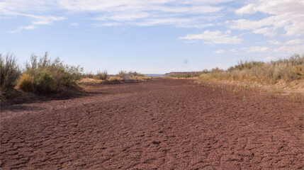 Dry river bed in the desert