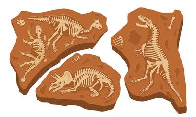 Paleontology finds concept. Fossil dinosaurs skeletons. Stones with bones of prehistoric reptiles. Set of flat cartoon vector illustrations isolated on white background © Rudzhan