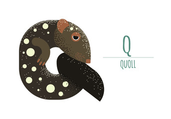 Cute quoll in the shape of a letter - Q. children's alphabet. poster, postcard.