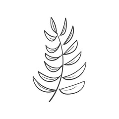 Hand Drawn Botanical Leaf Doodle Wildflower