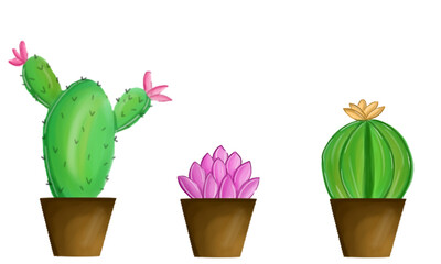 Watercolor design with ornamental cactus plant objects