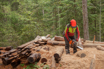 A lumberjack working safely with chainsaw and protection equipment inside an Italian forest