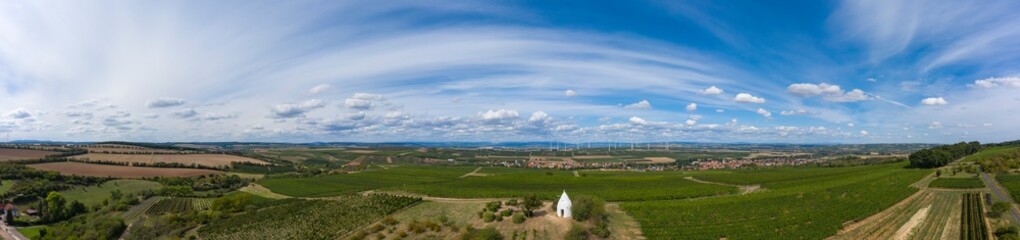 Panoramic shot from a bird's eye view of vineyards in Rheinhessen / Germany with a trullo in the...