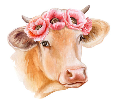 recommend clip art: Cow portrait isolated on white background. Floral wreath with red poppies. Head  Watercolor. Illustration. Template. Farm animal