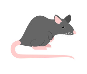 Gray mouse isolated. Grey mice vector illustration