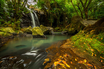 Waterfall landscape. Beautiful hidden waterfall in tropical rainforest. Nature background. Slow shutter speed, motion photography. Sing Sing Angin waterfall, Bali, Indonesia