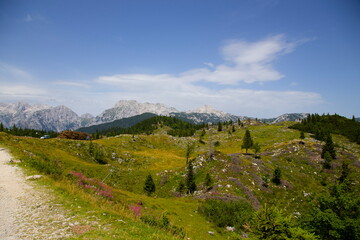 Fototapeta na wymiar Paesaggio montano sloveno di Velika planina