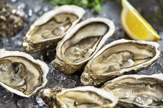Fresh raw oysters in shells halves on ice with lemon