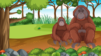 Orangutan in forest or rainforest scene with many trees
