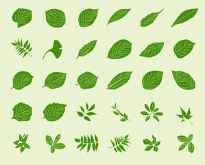 vector leaf illustration eps 10 