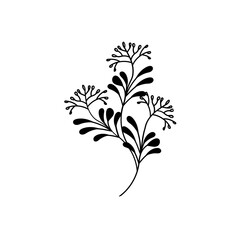 flower line drawing. Hand-drawn minimalist illustration vector	
