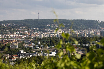 Stuttgart von Oben mit Weinbergen und Fehrnsehturm