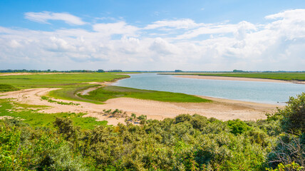 Nature reserve of a tidal inlet at the North Sea coast under a bright blue white cloudy sky in summer, the Zwin, Flanders, Belgium, July 2021 