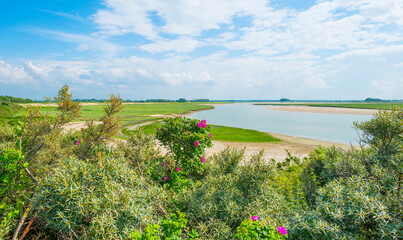 Nature reserve of a tidal inlet at the North Sea coast under a bright blue white cloudy sky in...