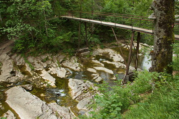 Bridge over Lassingbach in Oetschergraben near to the Oetscher in Lower Austria, Europe
