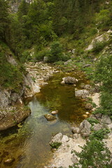 Naklejka na ściany i meble River Erlauf in Oetschergraben near to the Oetscher in Austria, Europe 