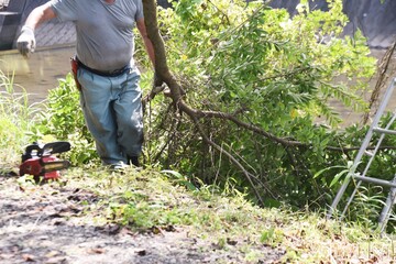 Environmental arrangement. A scene of logging work on the riverbed of a stream.