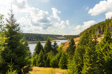 Eckertalsperre im Harz