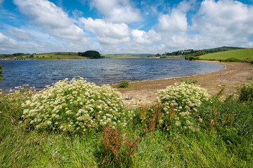 siblyback lake bodmin moor cornwall