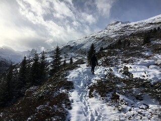 snow covered mountains