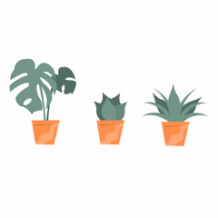 Potted Plant Pack Illustration