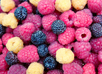 Assorted three varieties of raspberries - red, yellow and black berries