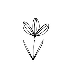 flower line drawing. Hand-drawn minimalist illustration vector	
