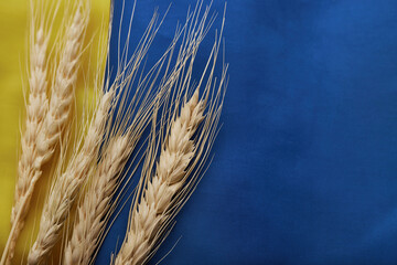 Ears of wheat on Ukrainian national flag. Symbols of Ukraine. Blue and yellow colors. Close up...