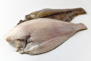 flat fish on a white background