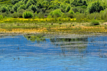 Reflections in the water of the Sierra de Guadarrama, in the La Pinilla Reservoir, located in the Lozoya Valley, in the Community of Madrid