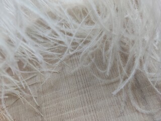 close up of wool