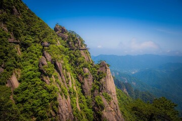view from the mountain pine